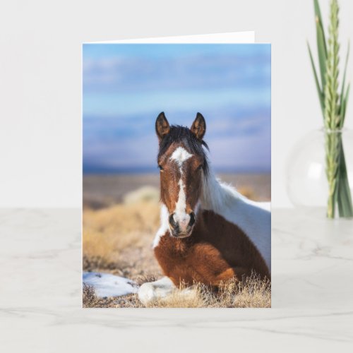 Wild Pinto Vertical Greeting card