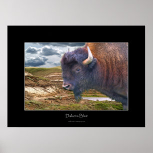 Wild Plains Buffalo Wildlife Art Poster
