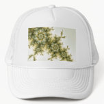 Wild Plant - Mandelbrot Fractal Art Trucker Hat