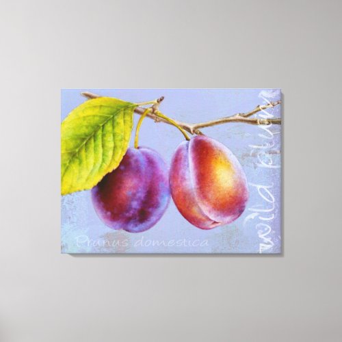 Wild plum _ Prunus domestica canvas art mauve