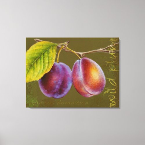 Wild plum _ Prunus domestica canvas art olive