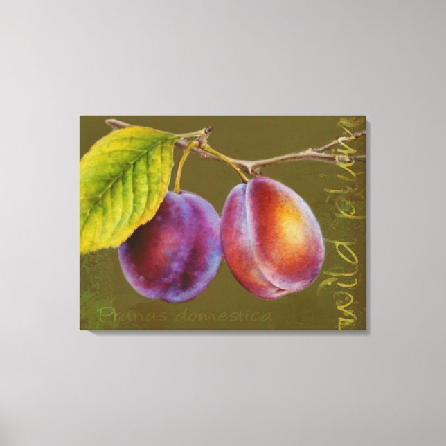 Wild plum - Prunus domestica canvas art (olive) (Front)