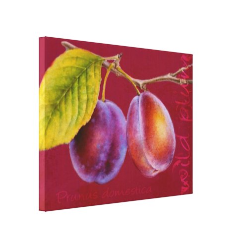 Wild plum _ Prunus domestica canvas art rich red