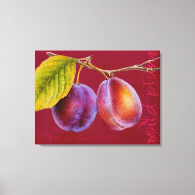 Wild plum - Prunus domestica canvas art (rich red) (Front)