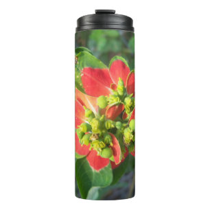 wild Poinsettia Thermal Tumbler