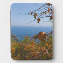 Wild Pomegranate Sunny Montenegro Summer