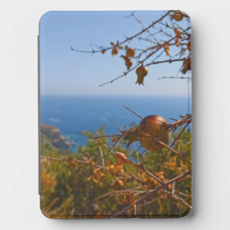 Wild Pomegranate Sunny Montenegro Summer Kindle Cover