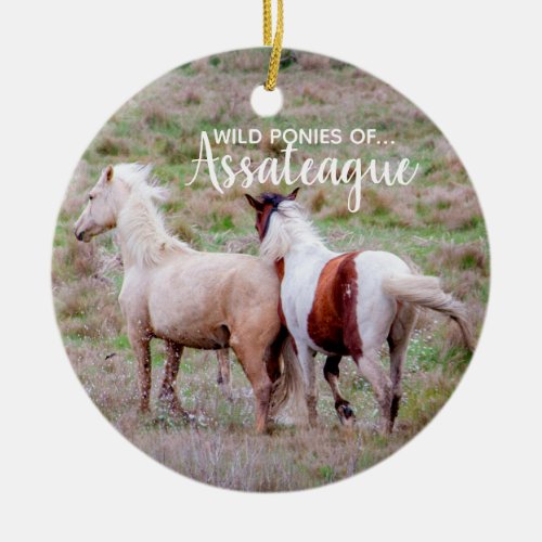 Wild Ponies of Assateague Christmas Ornament