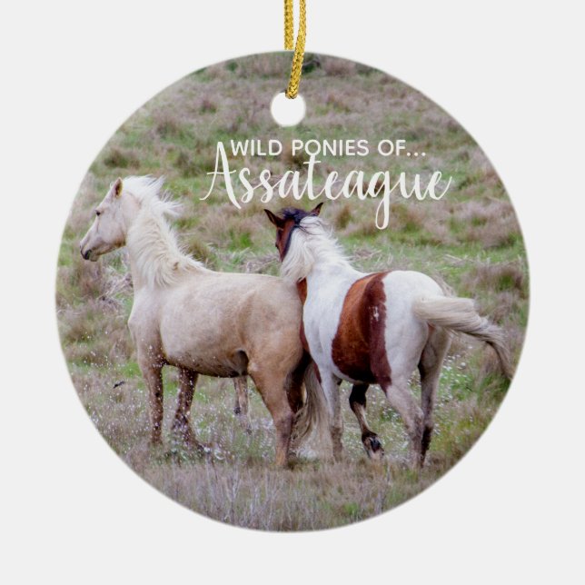 Wild Ponies of Assateague Christmas Ornament (Front)