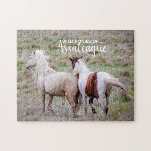 Wild Ponies of Assateague Jigsaw Puzzle