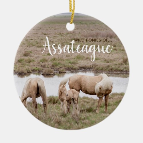 Wild Ponies of Assateague Ornament
