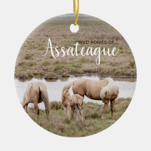 Wild Ponies of Assateague Ornament (Front)