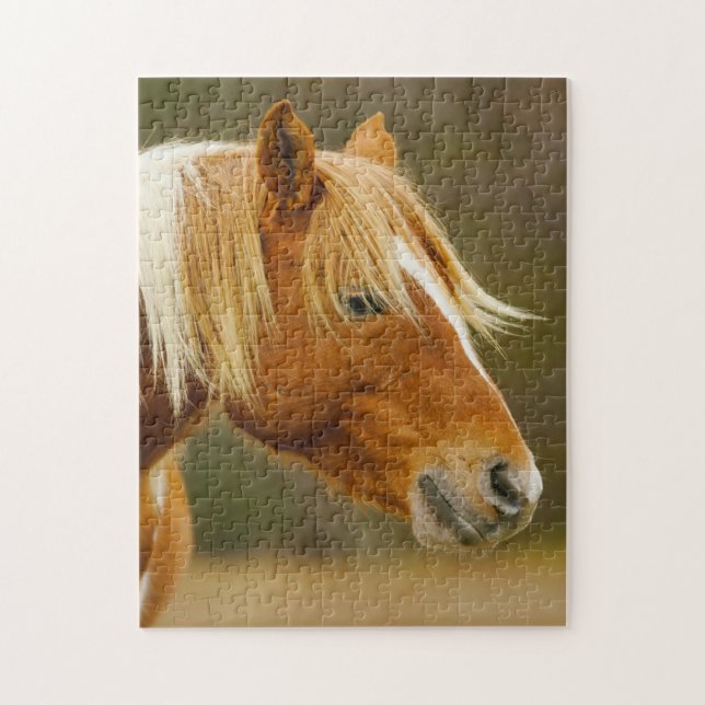 Wild Ponies West Virginia. Jigsaw Puzzle (Vertical)