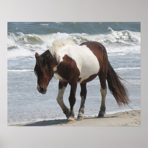 Wild Pony Poster Print