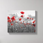 Wild Poppies In Black, White And Red Canvas Print at Zazzle