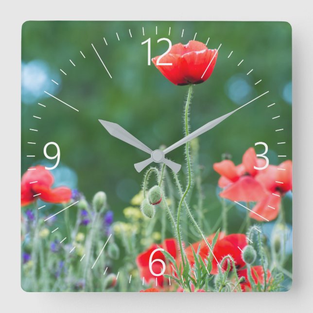 Wild poppies square wall clock (Front)