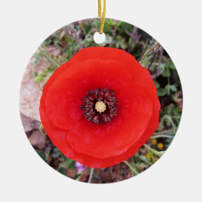 Wild Poppy Ceramic Ornament (Front)