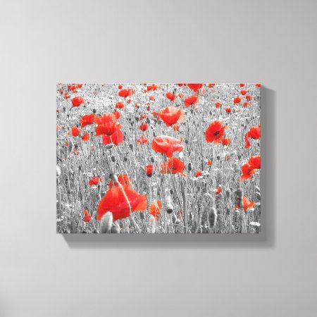 Wild Poppy Field In Black, White And Red Canvas Print