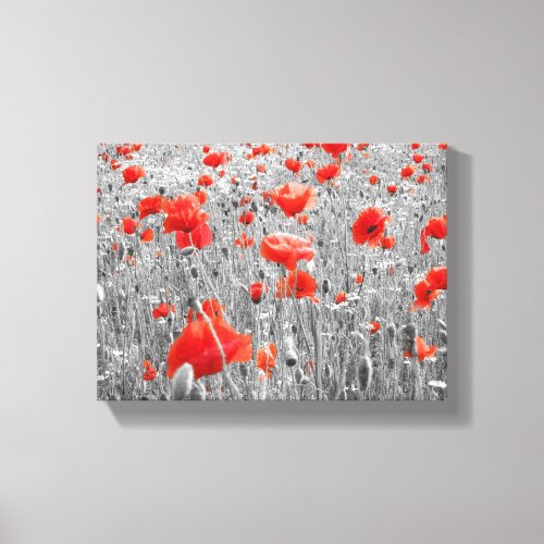 Wild Poppy Field in Black White and Red Canvas Print