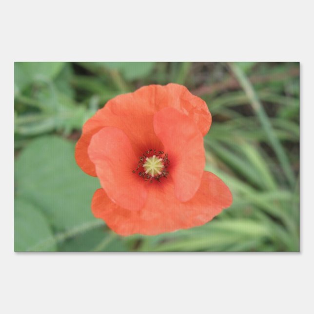 Wild Poppy Flower Decorative Yard Sign (Front)