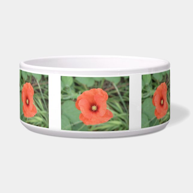 Wild Poppy Flower Dog Bowl (Front)