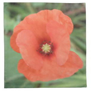 Wild Poppy Flower Napkin