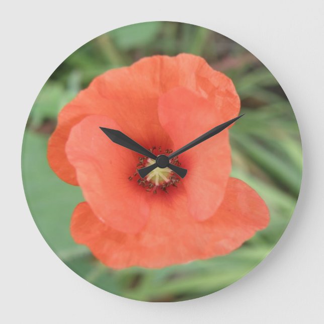 Wild Poppy Flower Wall Clock (Front)