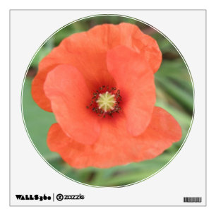 Wild Poppy Flower Wall Decal