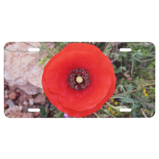 Wild Poppy License Plate (Front)