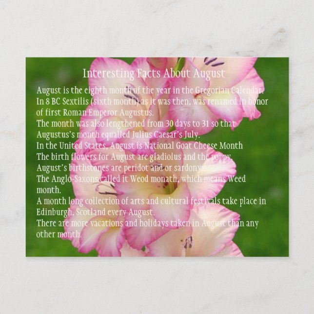 wild-poppy postcard (Front)