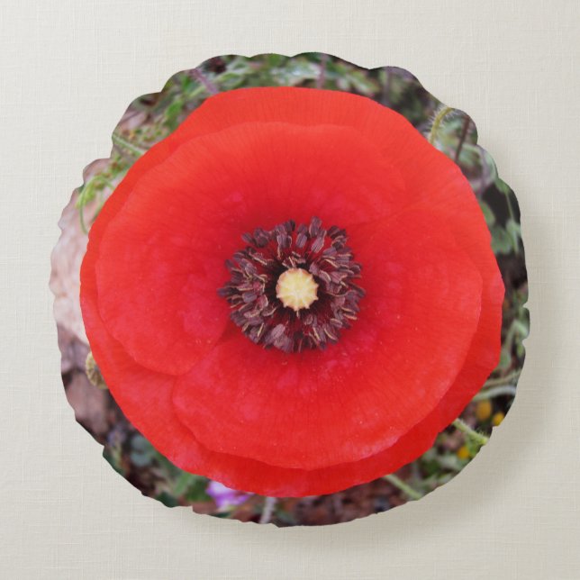 Wild Poppy  Round Pillow (Front)