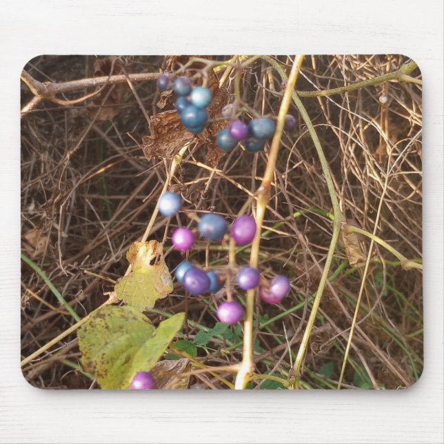 Wild Porcelain Berry Vine In Nature Mouse Pad (Front)