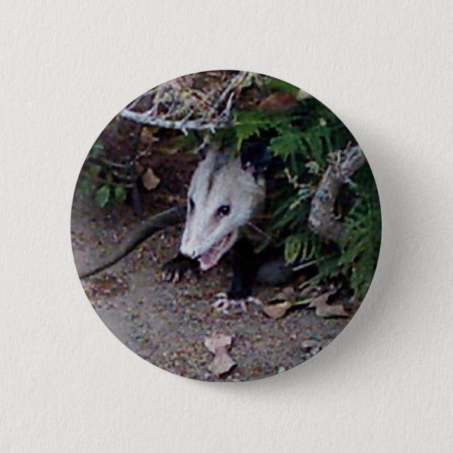 Wild Possum Button (Front)