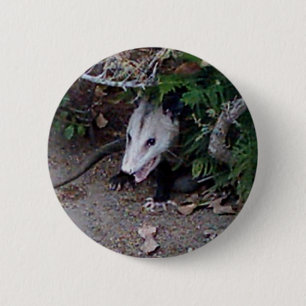 Wild Possum Button