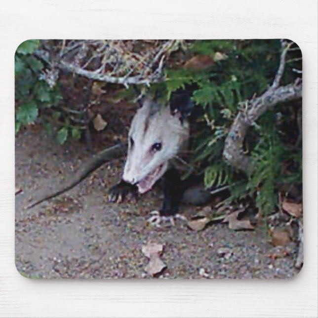 Wild Possum Mouse Pad (Front)