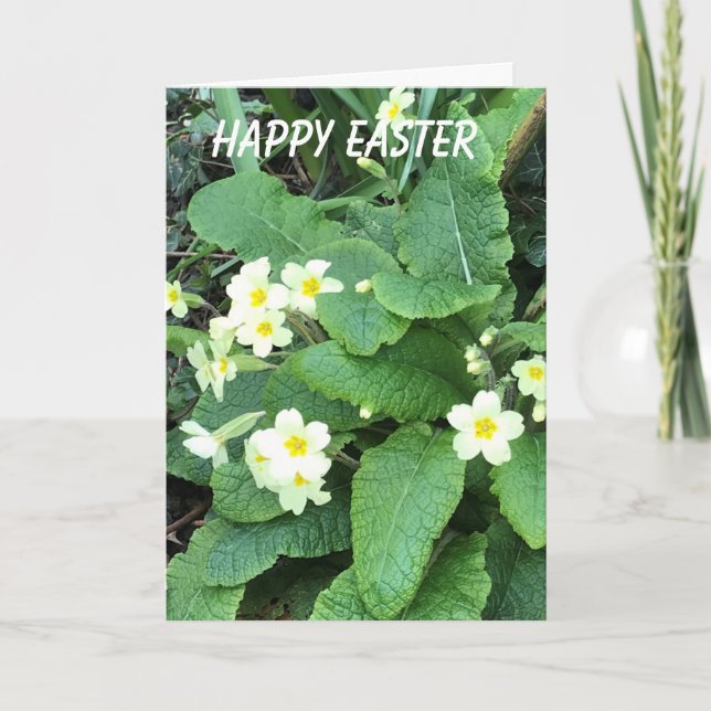 Wild Primrose Easter Holiday Card (Front)