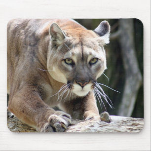 Wild Puma Mouse Pad