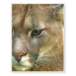 Wild Puma Temporary Tattoos