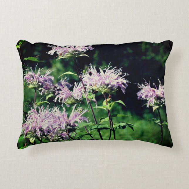Wild Purple Bee Balm   Accent Pillow (Front)