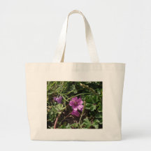 Wild Purple Cranesbill