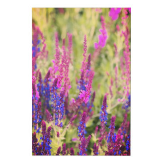 Wild purple flowers faux canvas print