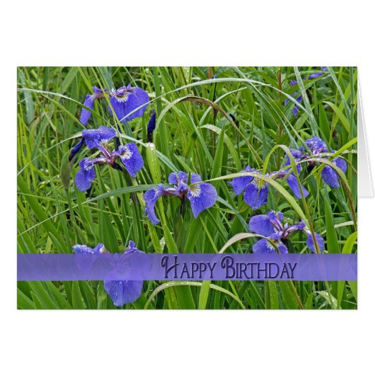 Wild Purple Iris Cards (Front Horizontal)