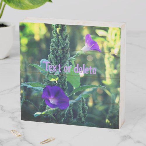 Wild Purple Morning Glory Flowers Personalized Wooden Box Sign