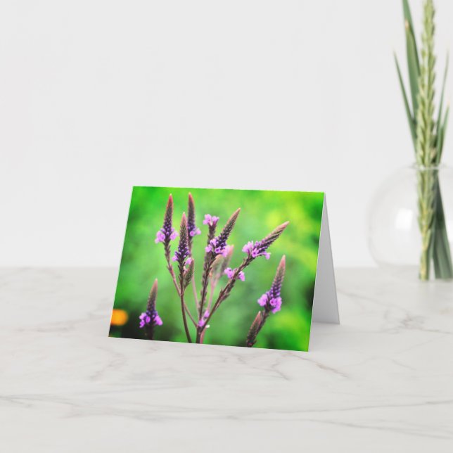 Wild Purple Vervain Flower Blank Note Card (Front)