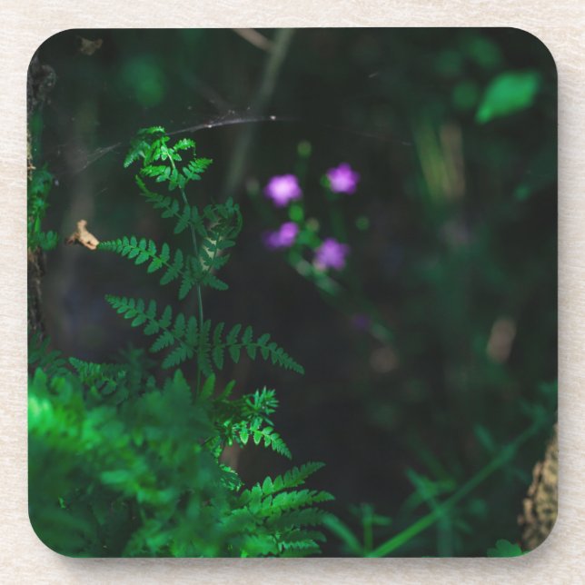 Wild Purple Water Forest Flowers Fern Beverage Coaster (Front)