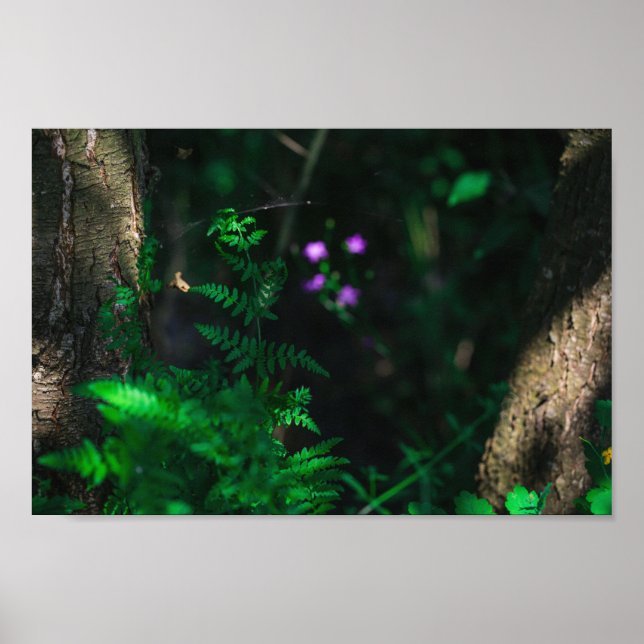 Wild Purple Water Forest Flowers Fern Poster (Front)