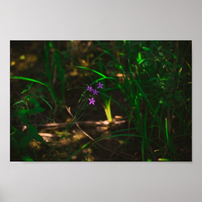 Wild Purple Water Forest Flowers Fern Poster (Front)