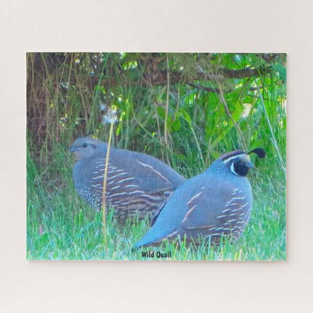 Wild Quail Jigsaw Puzzle (Horizontal)