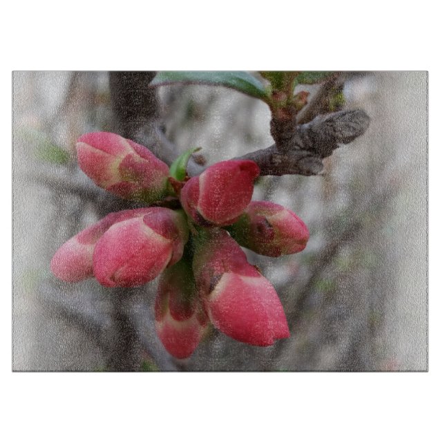 wild quince blooming cutting board (Front)