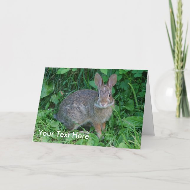 Wild Rabbit Animal Nature Photo Card (Front)